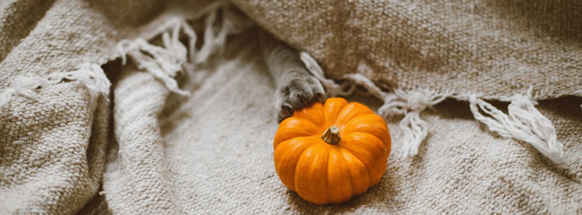 Ways to Take the Fear Out of VoIP