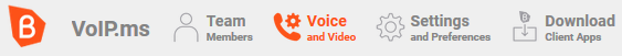 BriaTeams VoiceVideo.png