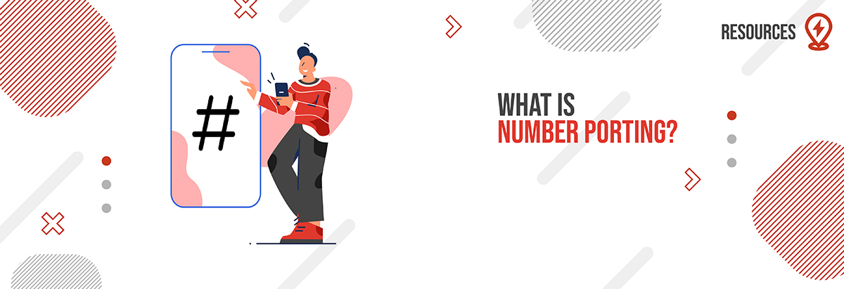 What is Number Porting