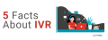 5 Facts about IVR Every Business Owner Should Know.png