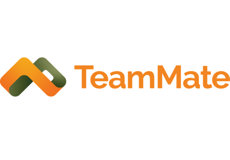 File:TeamMateLogo.png